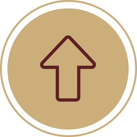 Wealth-Icon